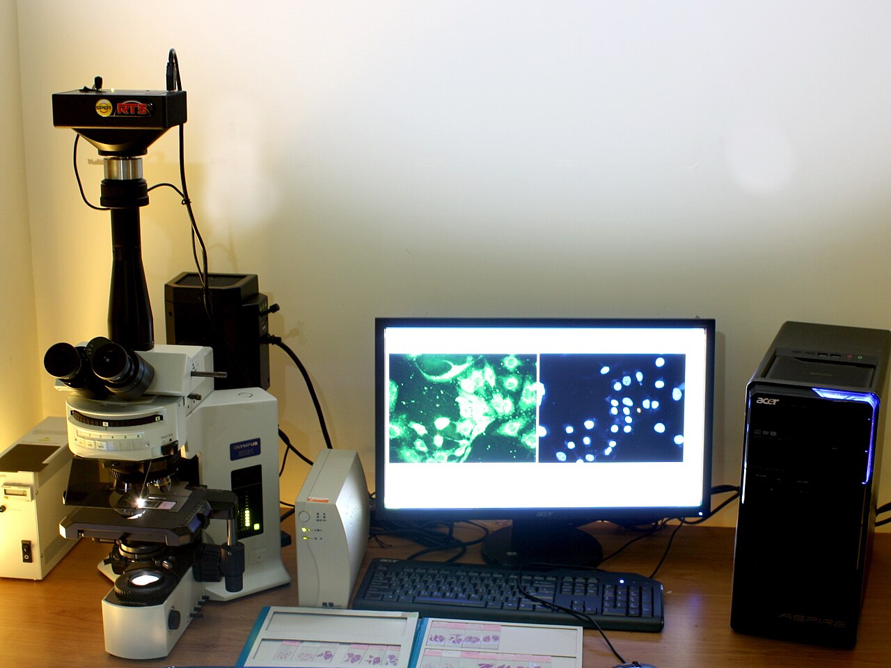microscope research (foto: Mk2010 / CC BY-SA 3.0, Wikimedia Commons)