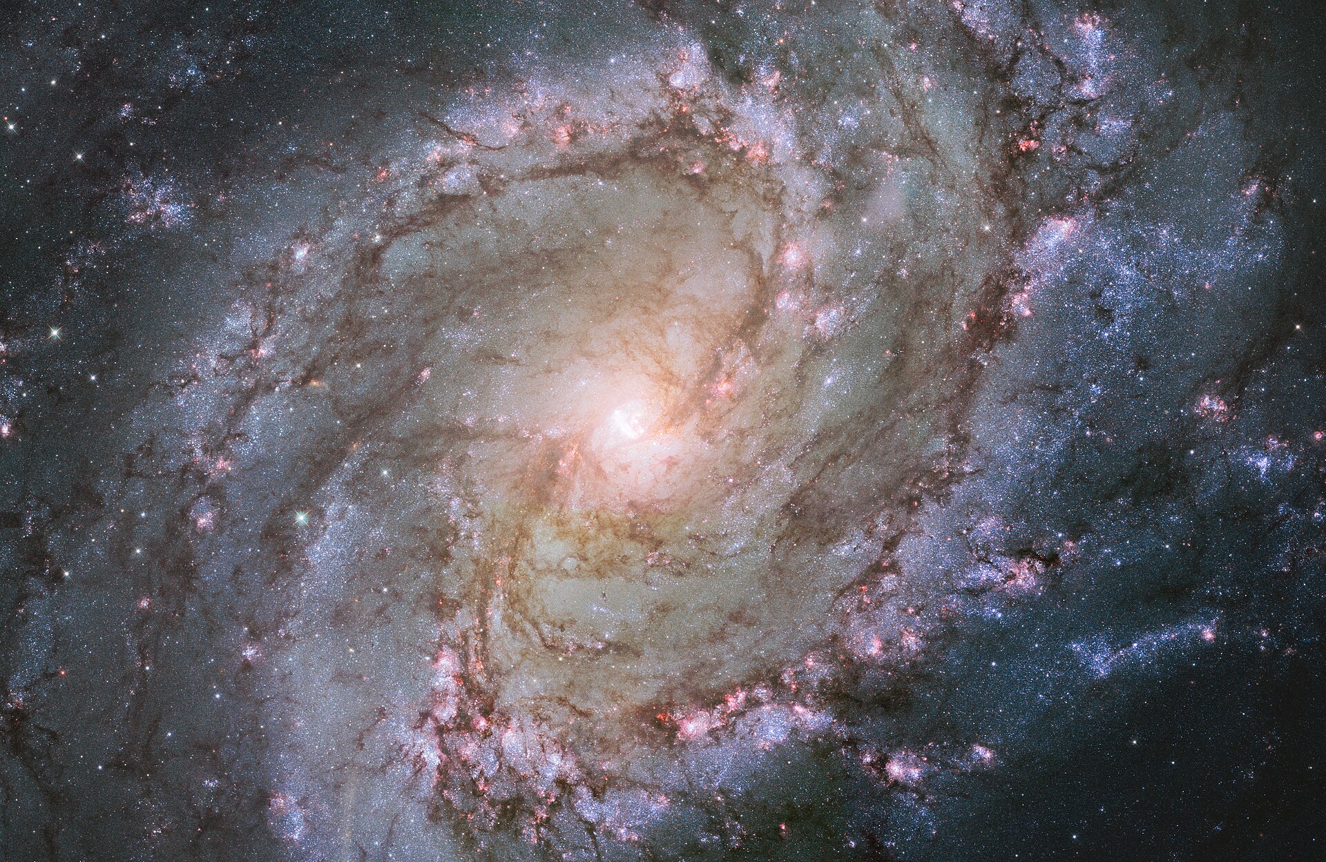 supernova spiral galaxy