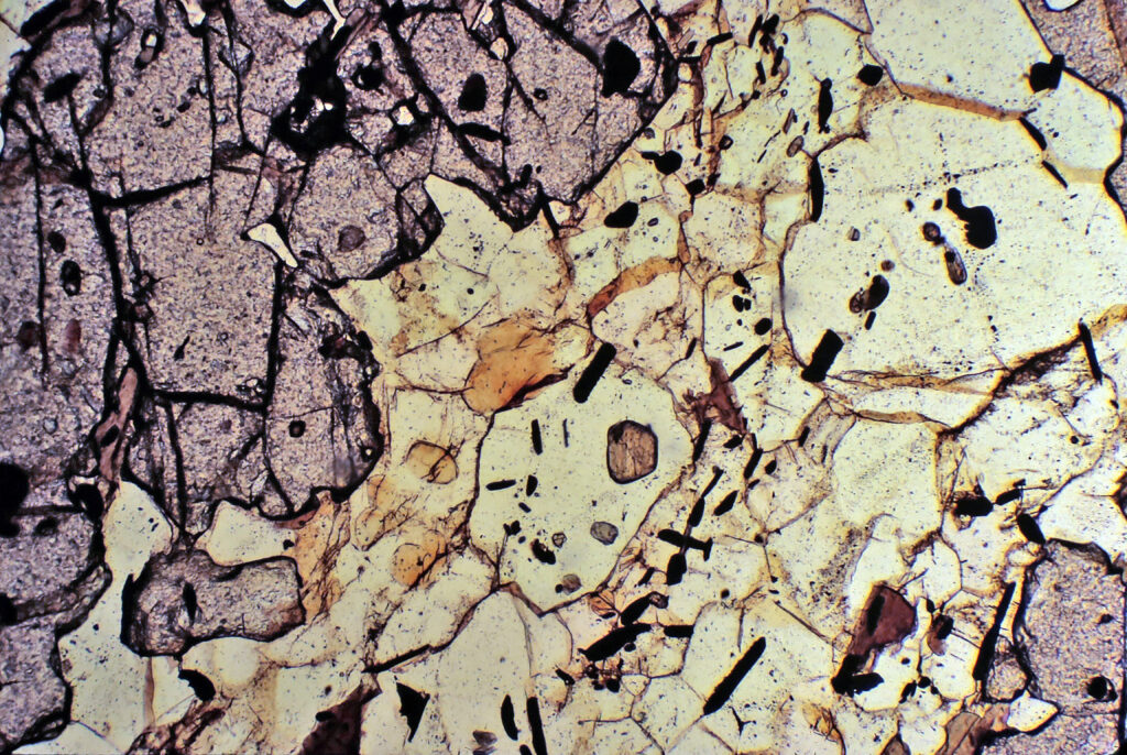 Lámina delgada de roca al microscopio con líneas finas y paralelas cruzando un grano mineral