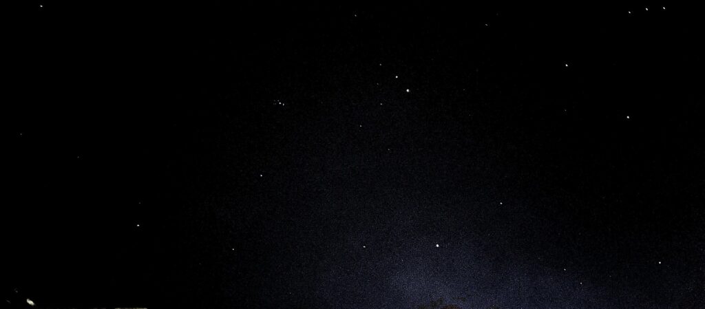 Campo estelar denso con estrellas de distinto brillo y la silueta de unos árboles en la parte baja