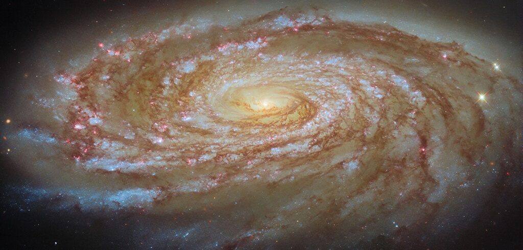 Galaxia espiral vista de frente con brazos bien definidos y un núcleo brillante y compacto
