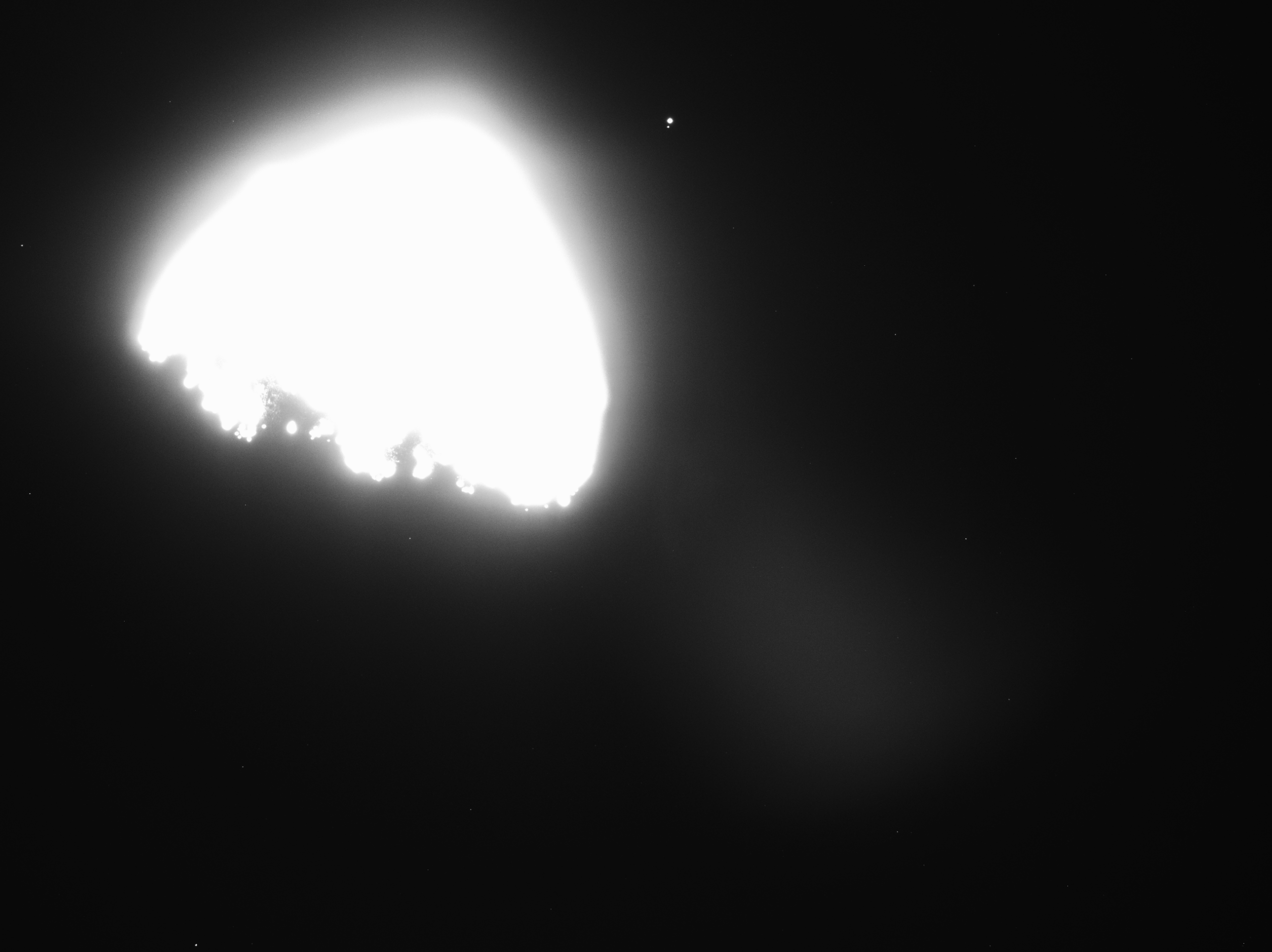 Asteroide oscuro con forma de peonza cubierto de bloques rocosos y una cresta ecuatorial marcada